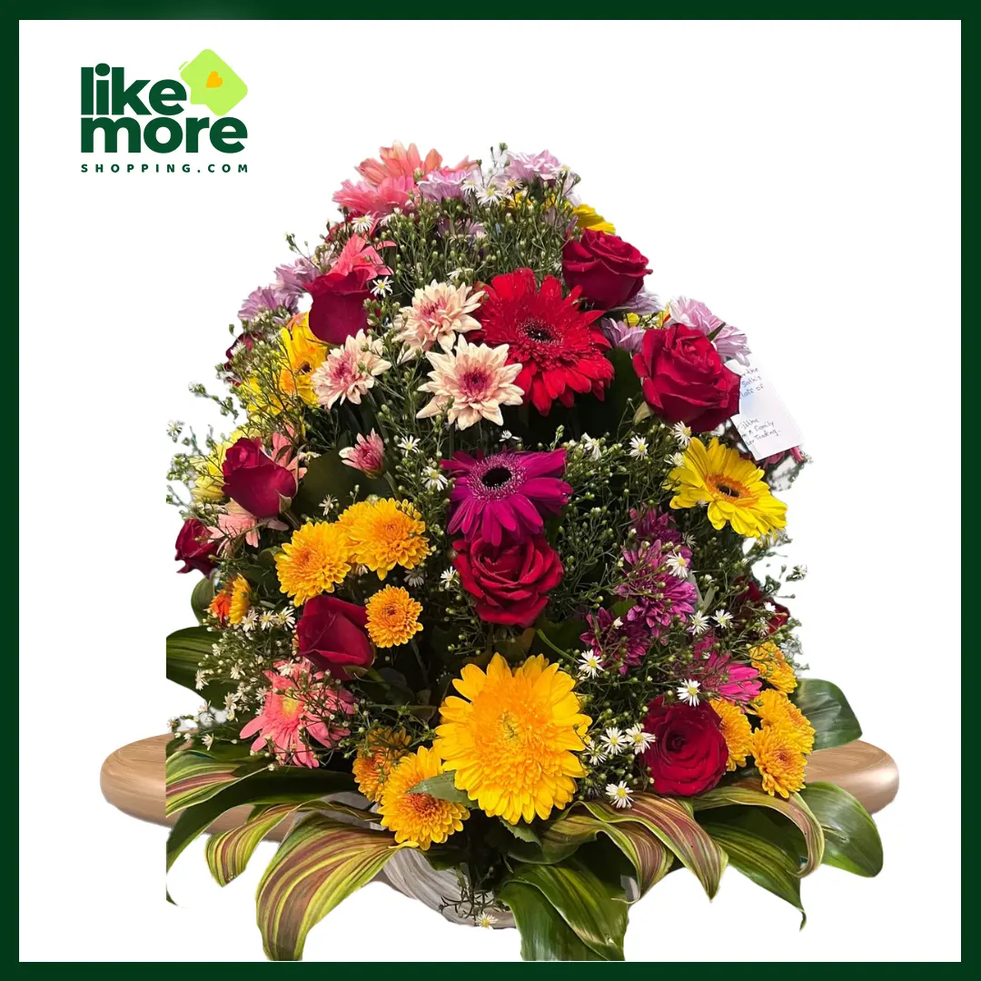 Main image of Classy Style Gerbera