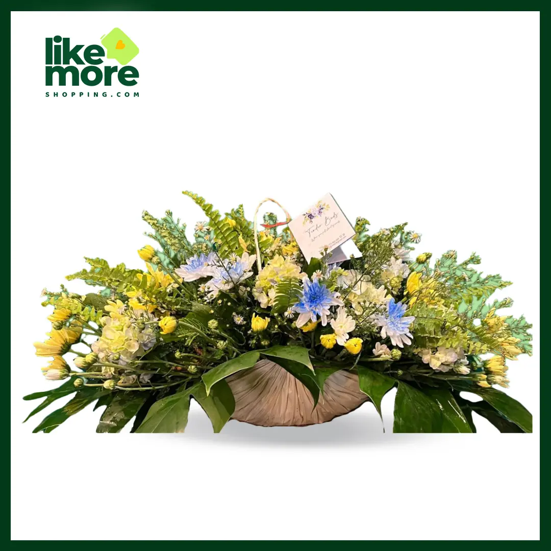 Main image of Chrysanthemum Pot