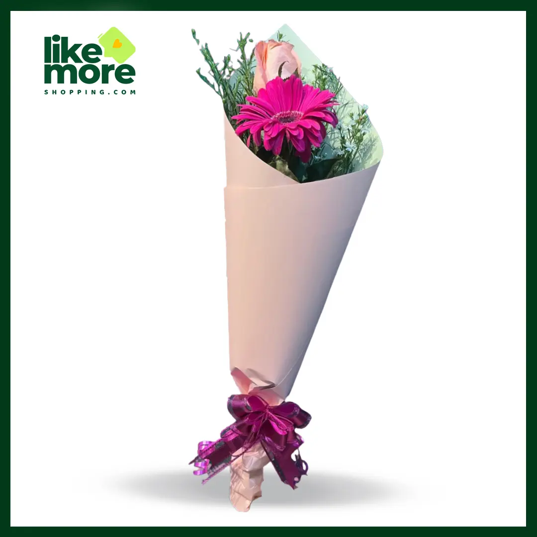 Main image of Pink Gerbera Petals
