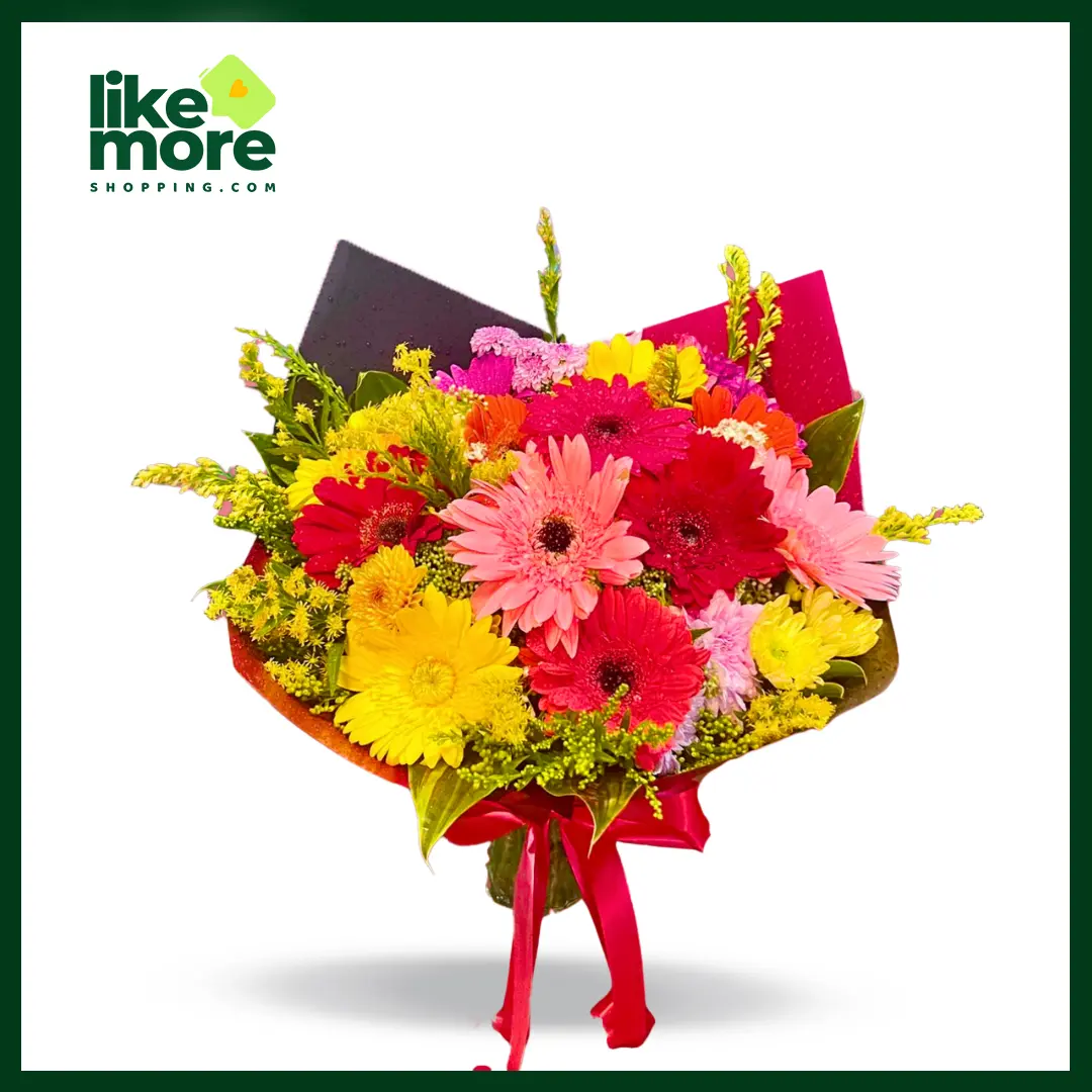 Main image of Mixed Gerbera Bunch