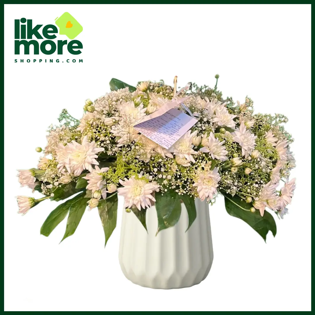 External Grace Chrysanthemum