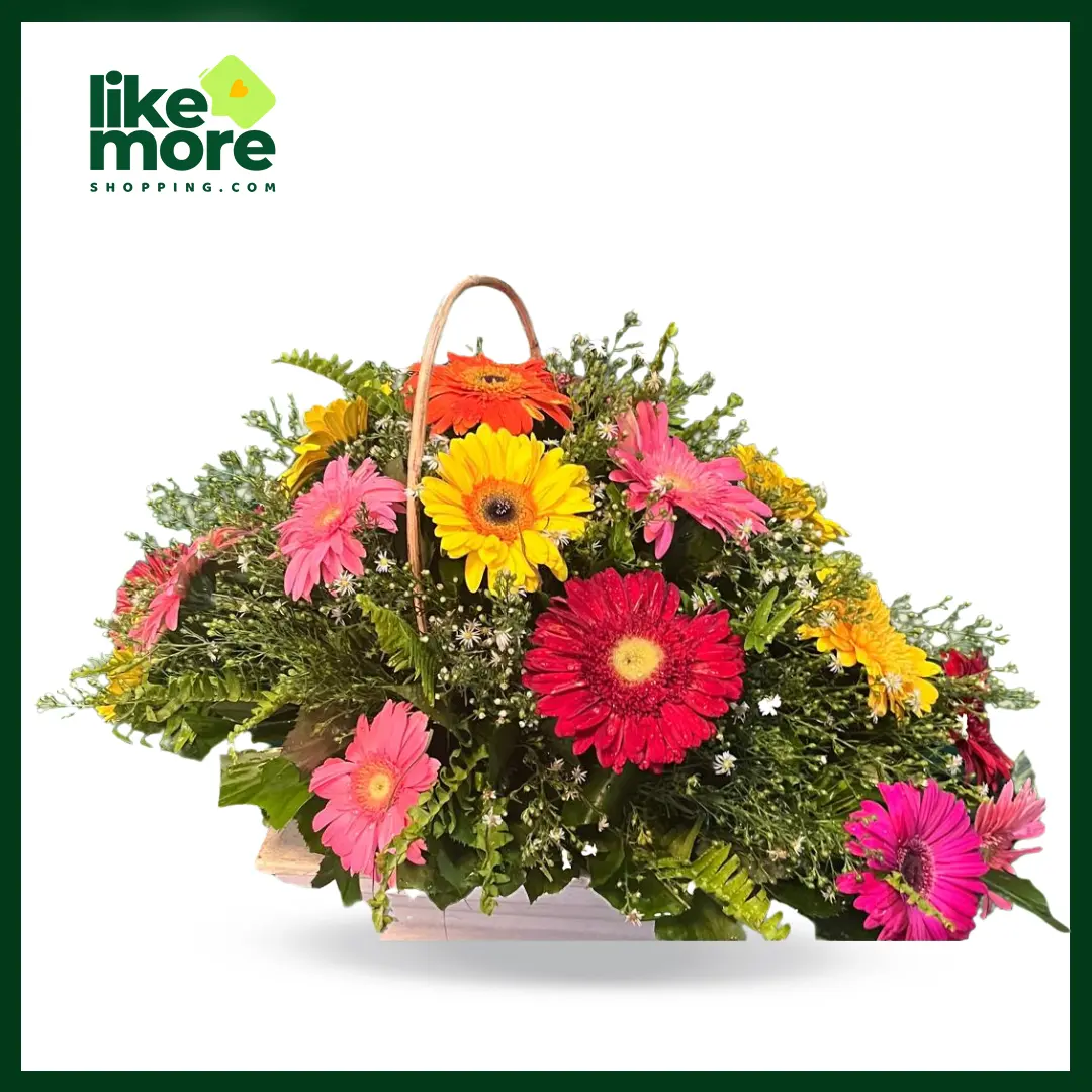 Main image of Basket of Colourful Gerbera