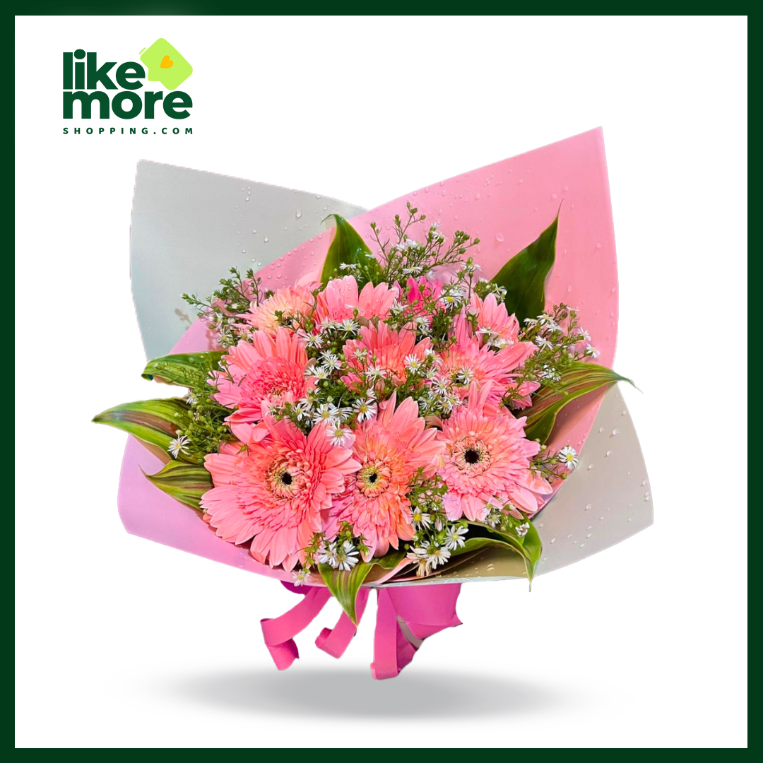 Pink Gerbera Bunch