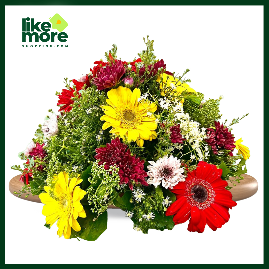 Colourful  Gerbera Pot